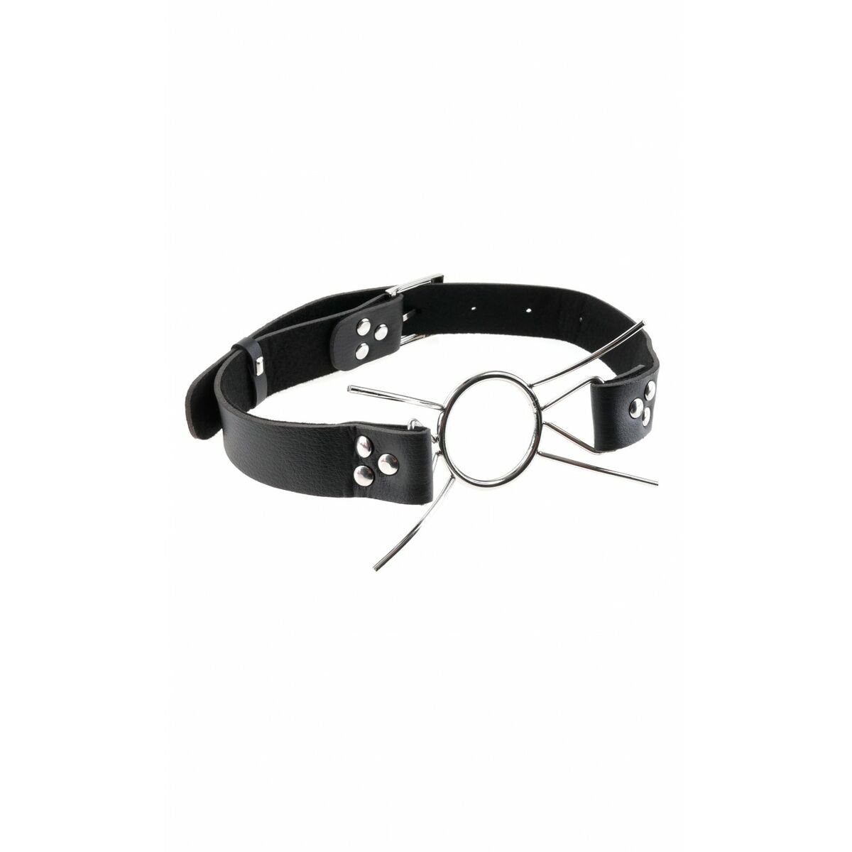 V5HB10358460A0B21F44462A34C49F4FF96R5080836P5