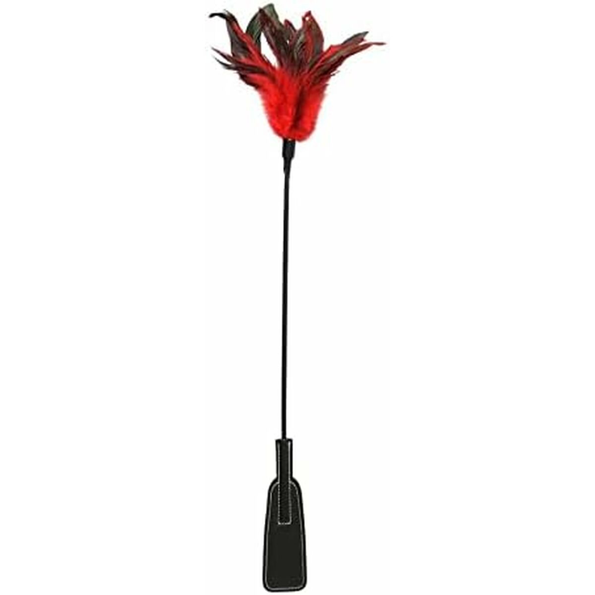 V4H29D85D3F6BA6FBA5A4427FB21FDA6AECR5796830P3