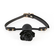 V5H8E91059F8FF027C1286A80DFCFE45EAFR5116636P1