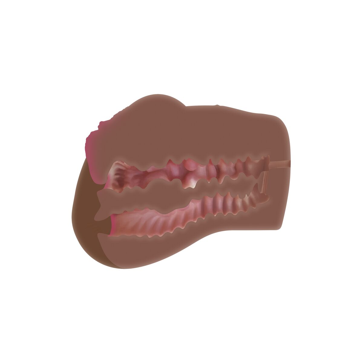 Belastbarer Jack Ass Masturbator Zero Tolerance Braun - FlowNight