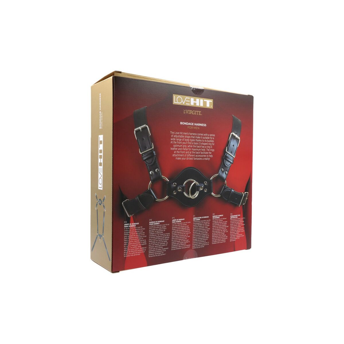 V5H76BD1E24306579EE271102B0A8FF064DR5098721P4